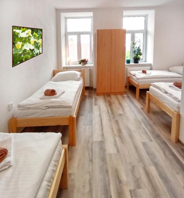 Penzion U Provaznika Zdíkov 外观 照片